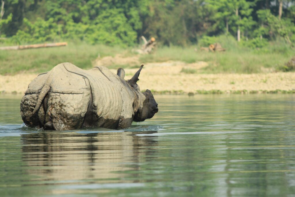 Parc national de Chitwan 