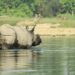 Parc national de Chitwan 